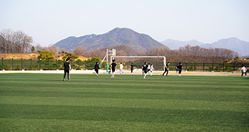 잔디축구장 사진1